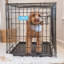 Cage en métal pour animaux Carlson-27272949