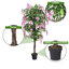 185cm Faux Wisteria Tree in Pot