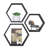 Emeria 3 Piece Hexagon Floating Shelf-633166846