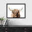 "Portrait de vache Shetland brune et blanche à deux tons" sur papier-98265845-98265847