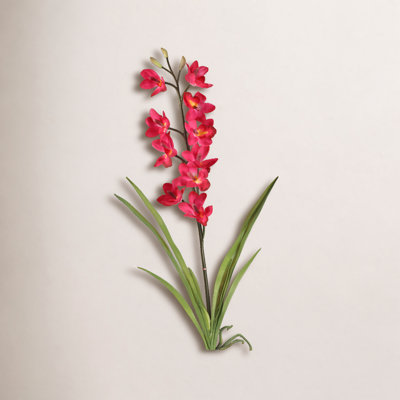Cymbidium Orchid Stems