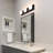 20" Dimmable LED Vanity Light