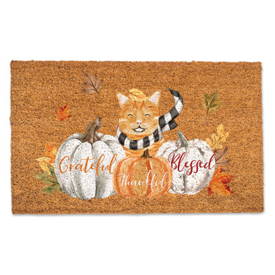 Bracci Non-Slip Outdoor Doormat