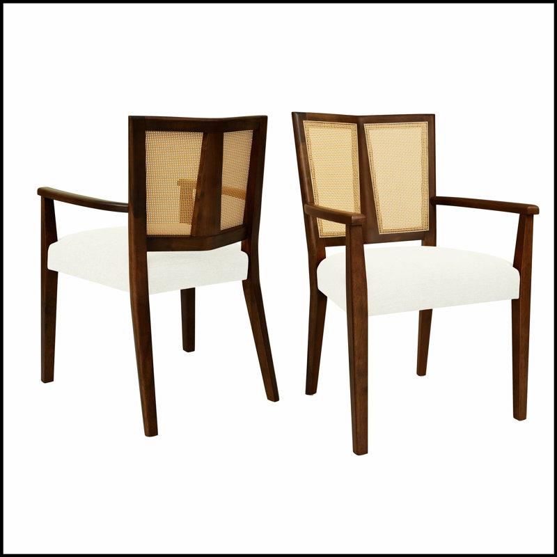 Ensemble de 2 chaises de salle à manger élégantes en rotin avec accoudoirs à dossier, confortables et durables pour les intérieurs modernes
