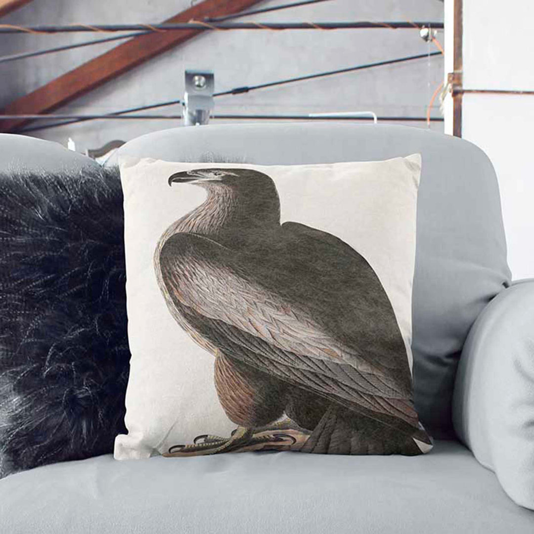 Hawk by John James Audubon Cushion with Filling