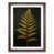 Walnut Framed is unavailable