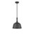 Saxon 1-Light Dimmable Dome Pendant-1953057661
