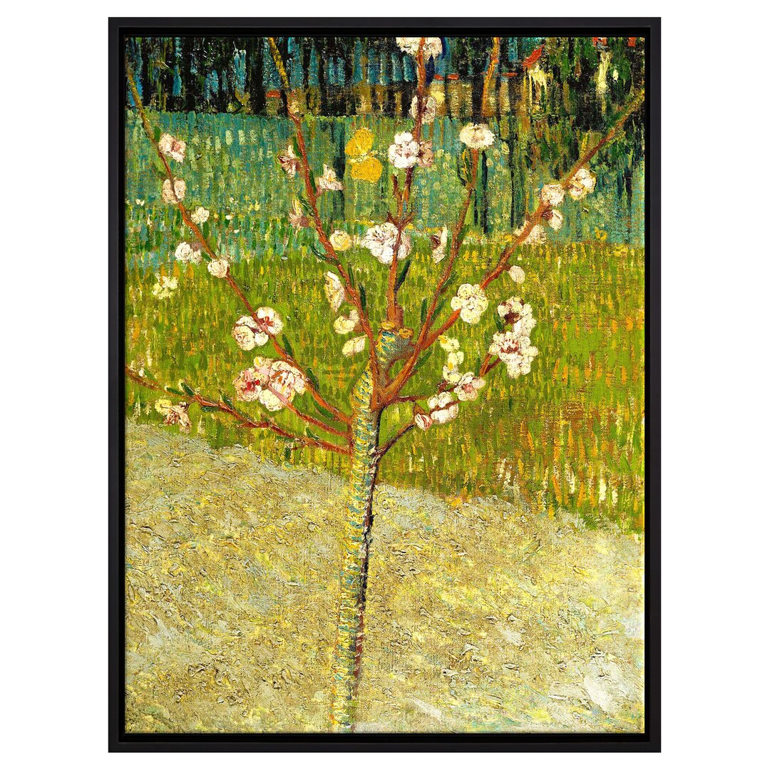 Gerahmtes Leinwandbild Blühender Mandelbaum von Vincent Van Gogh