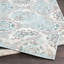 Area Rug-1816342465