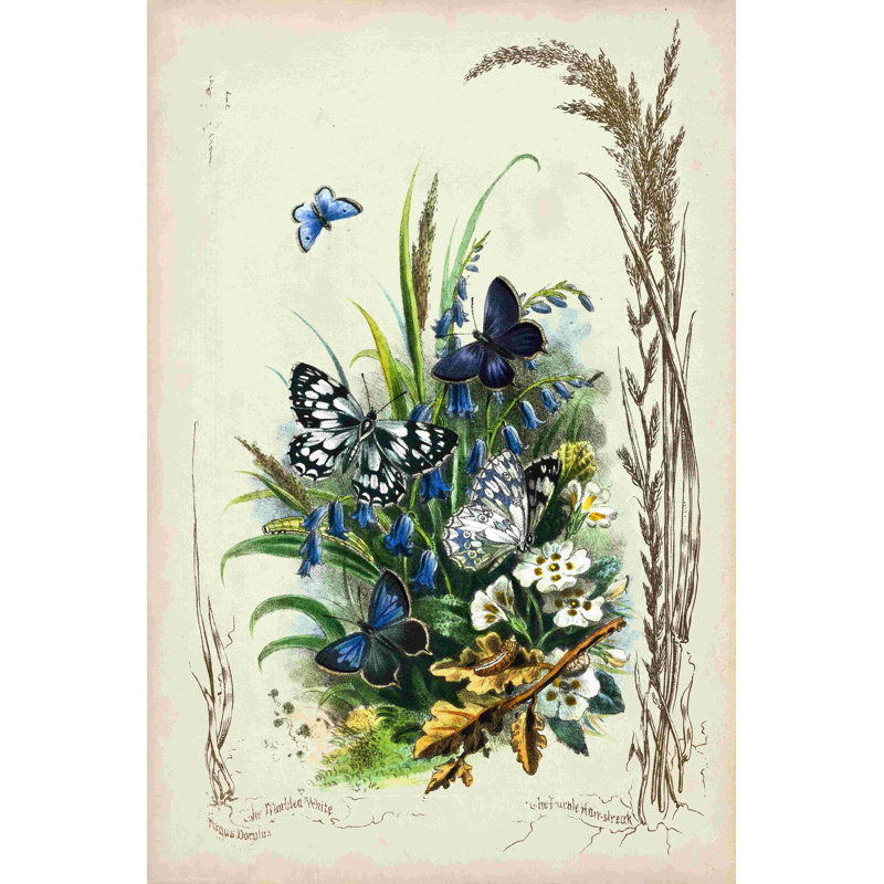 Victor. Jardin de papillons, H 30 po x l 20 po