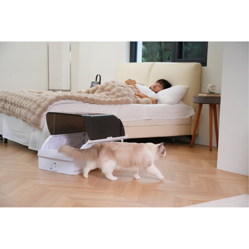 Litière pour chat Smart Smart