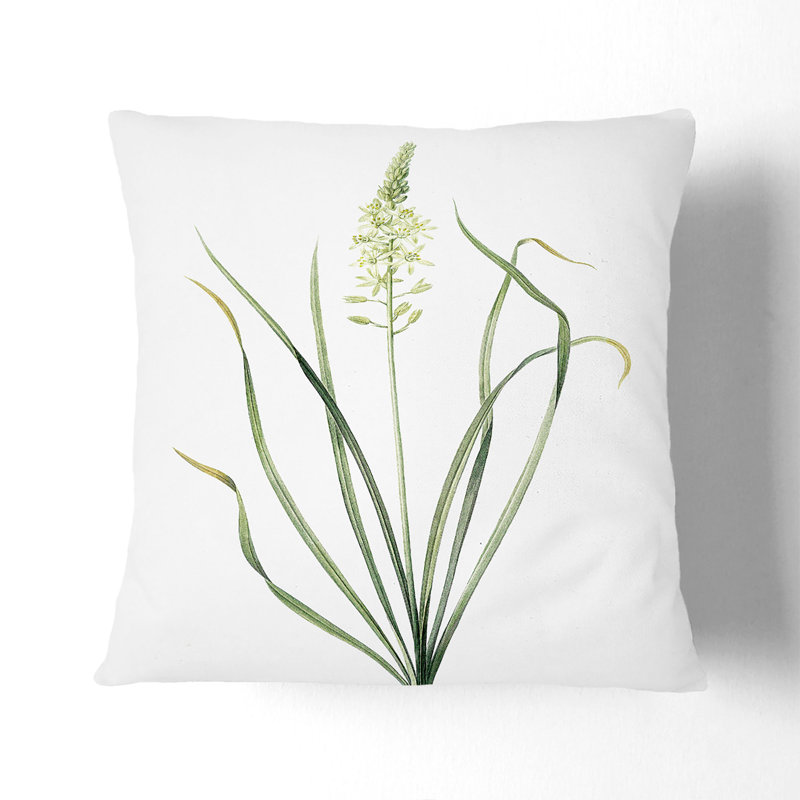 Wild Asparagus Flowers by Pierre-Joseph Redoute Cushion with Filling, Stone, 40cm H x 40cm W x 15cm D