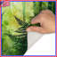 Dense Forest With Ferns Bath Mat-179557743