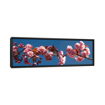 A Branch of Cherry Blossoms, reproduction de photo sur toile tendue