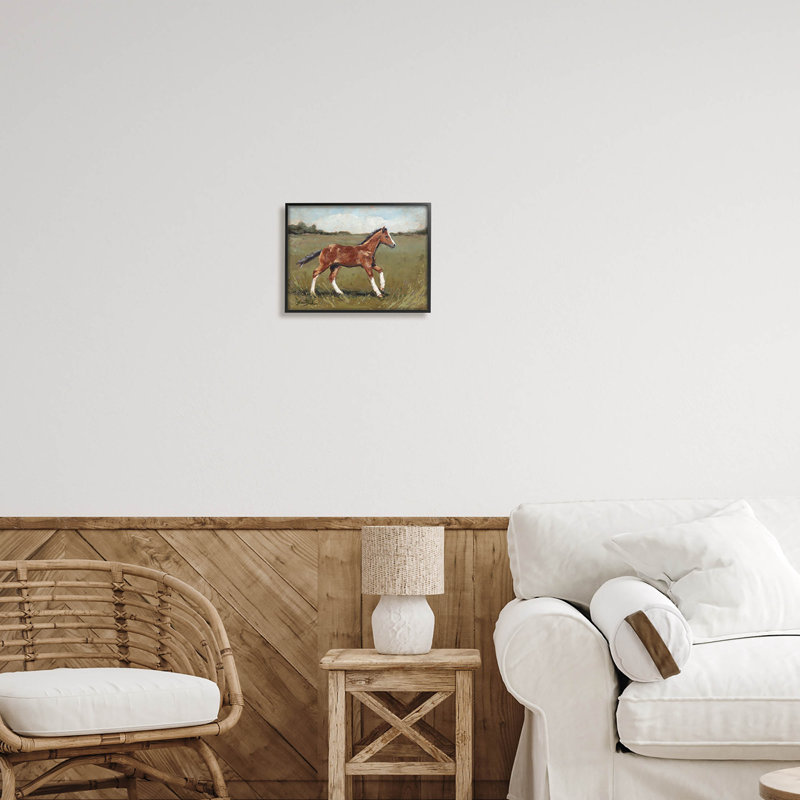 Cheval, galop, campagne au galop, art giclée par Sara Baker, H 11 po x l 14 po x P 1,5 po, Giclée encadrée noir minuit