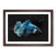 Blue Siamese Fighting Fish 1 Piece Single Picture Frame Painting on MDF-56854818-56854813