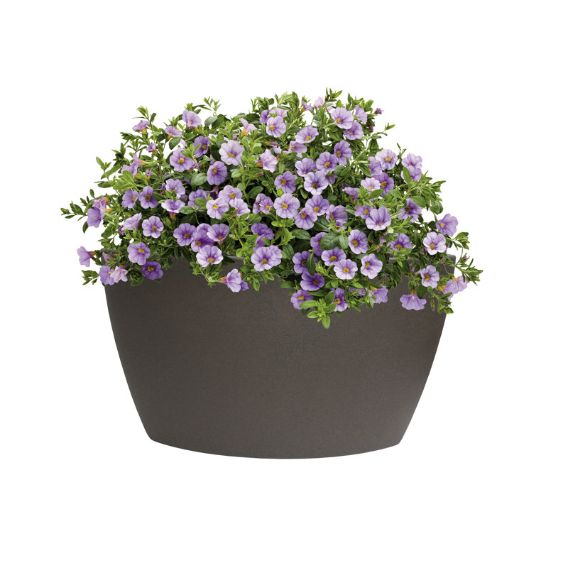 Corner Plastic Pot Planter, Brownstone