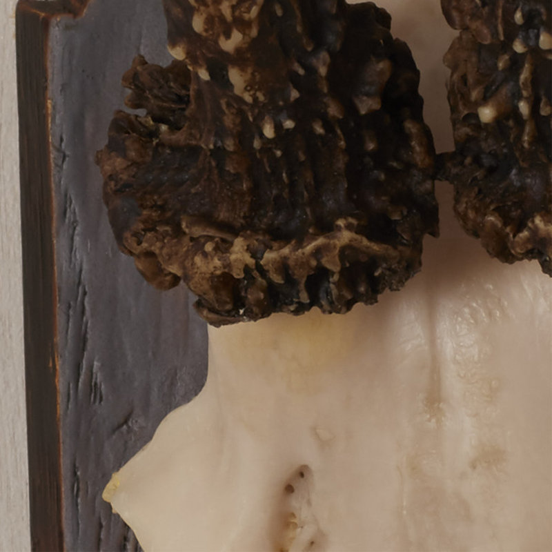 Rustic Animals Wall Decor on Resin