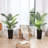 Adcock 2 - Piece Artificial Palm Tree in Pot Set, Faux Plant-753541835