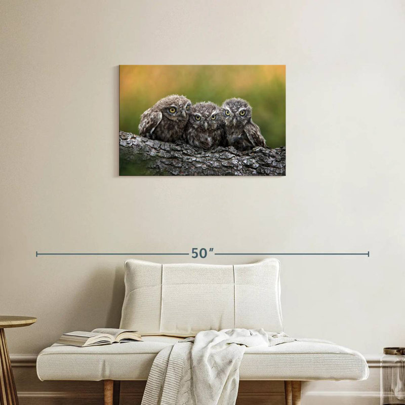 Brampt Snuggling Young Owls, 20" H x 30" W