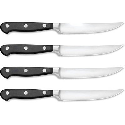 Stainless Steel Dinner Knife