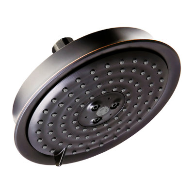Pomme de douche Raindance C 150
