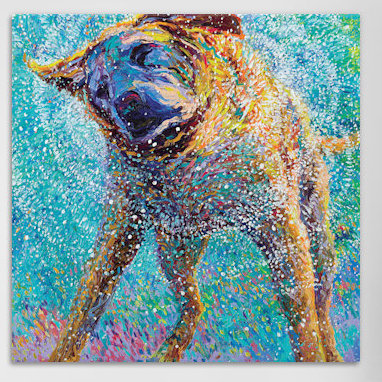 Iris Scott - reproduction sur toile, H 12 po x l 12 po x P 0,75 po, Toile tendue, Pas de tapis