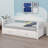 Daybed With Trundle Bed, Extendable Daybed With Two Storage Drawers-170063947