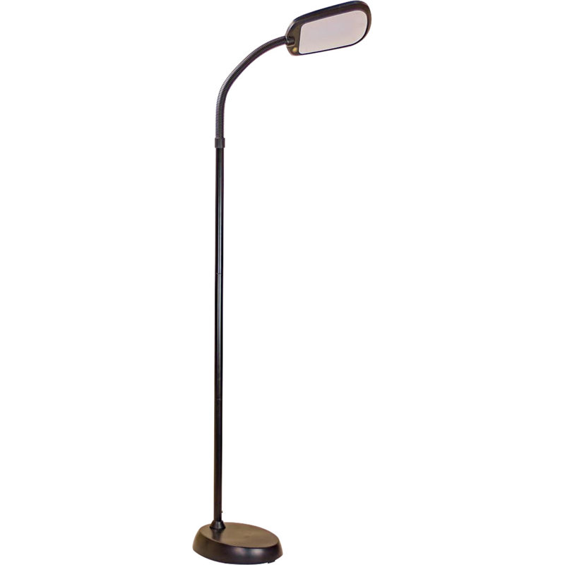 Reeder 60'' LED Task Floor Lamp, Black