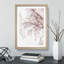 A Pink Cherry Blossom Tree Abstract - Framed Print-56738642-56738643