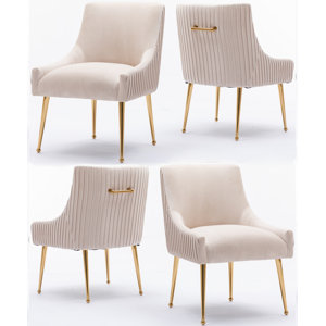 https://assets.wfcdn.com/im/03346038/resize-h300-w300%5Ecompr-r85/2424/242492042/Baudel+Velvet+Side+Chair.jpg