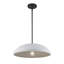 Luminaire suspendu 1 lumière Zac
