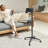 Standing Mobile Laptop Cart