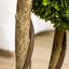 90cm Faux Boxwood Tree in Cement Pot