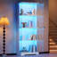 Display Cabinet-2036024026