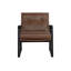 Leather Tufted Lounge Chair-1727297384