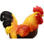 Statue de coq Kosobud