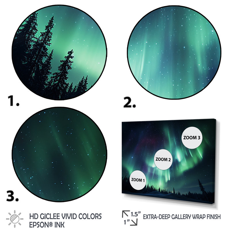 «Canadian Boreal Ballet 4 - Northern Lights», art mural, Cadre flottant noir, H 12 po x l 20 po x P 1 po