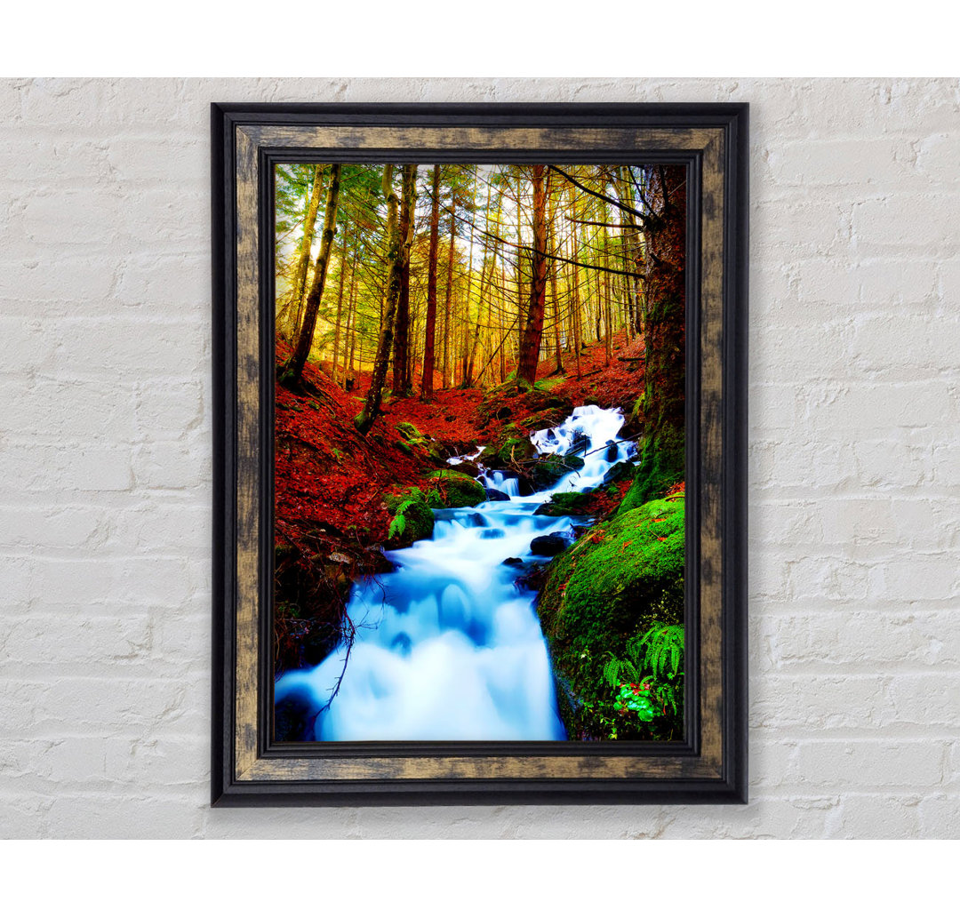 The Autumn Woodland Stream - Einzelner Bilderrahmen Kunstdrucke