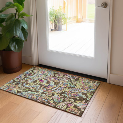 Seoras Washable Paisley Indoor / Outdoor Rug