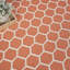Tapis d'intérieur / extérieur géométrique Casie-1978168115