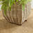 Birch Lane™ Pallie Seagrass Planter-55380267