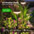 Solar Powered Integrated LED Pathway Light Pack