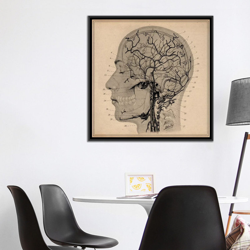 "anatomie of human head" , impression sur toile, H 18 po x l 18 po x P 1,5 po, Toile avec cadre noir, Pas de tapis