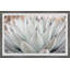 Parry's Agave - Single Picture Frame Painting-1939414588