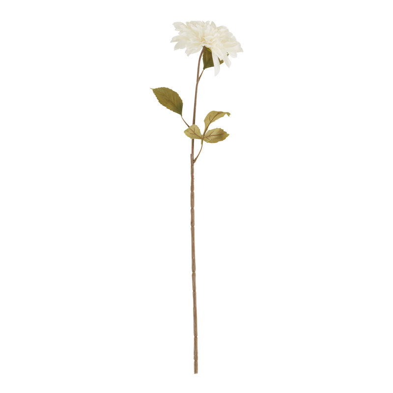 Ensemble de 12 tiges Dahlia