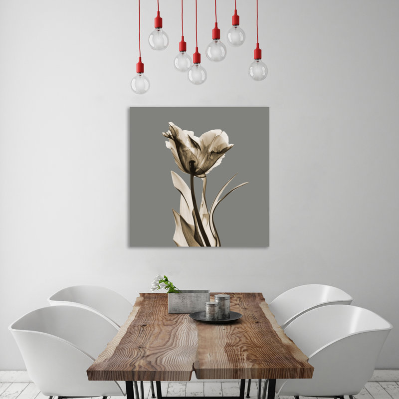 Grey Luster Tulip - Wrapped Canvas Print, 30 cm H x 30 cm W