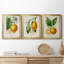 «French Lemon I», ensemble de 3 peintures sur toile encadrées-1674844667-1674844644