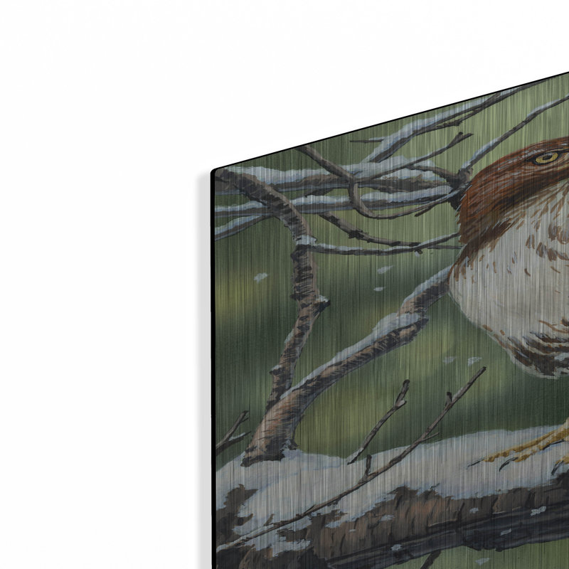 «Red Tailed Hawk» par William Vanderdasson