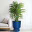 Pots à fleurs 16,75 po Modern Urn-640933533